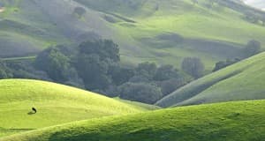 Things You Didn't Know About the American Past Politicians