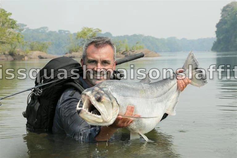 La Fortune de Cyril Chauquet : Une Exploration de sa Carrière et de son Influence