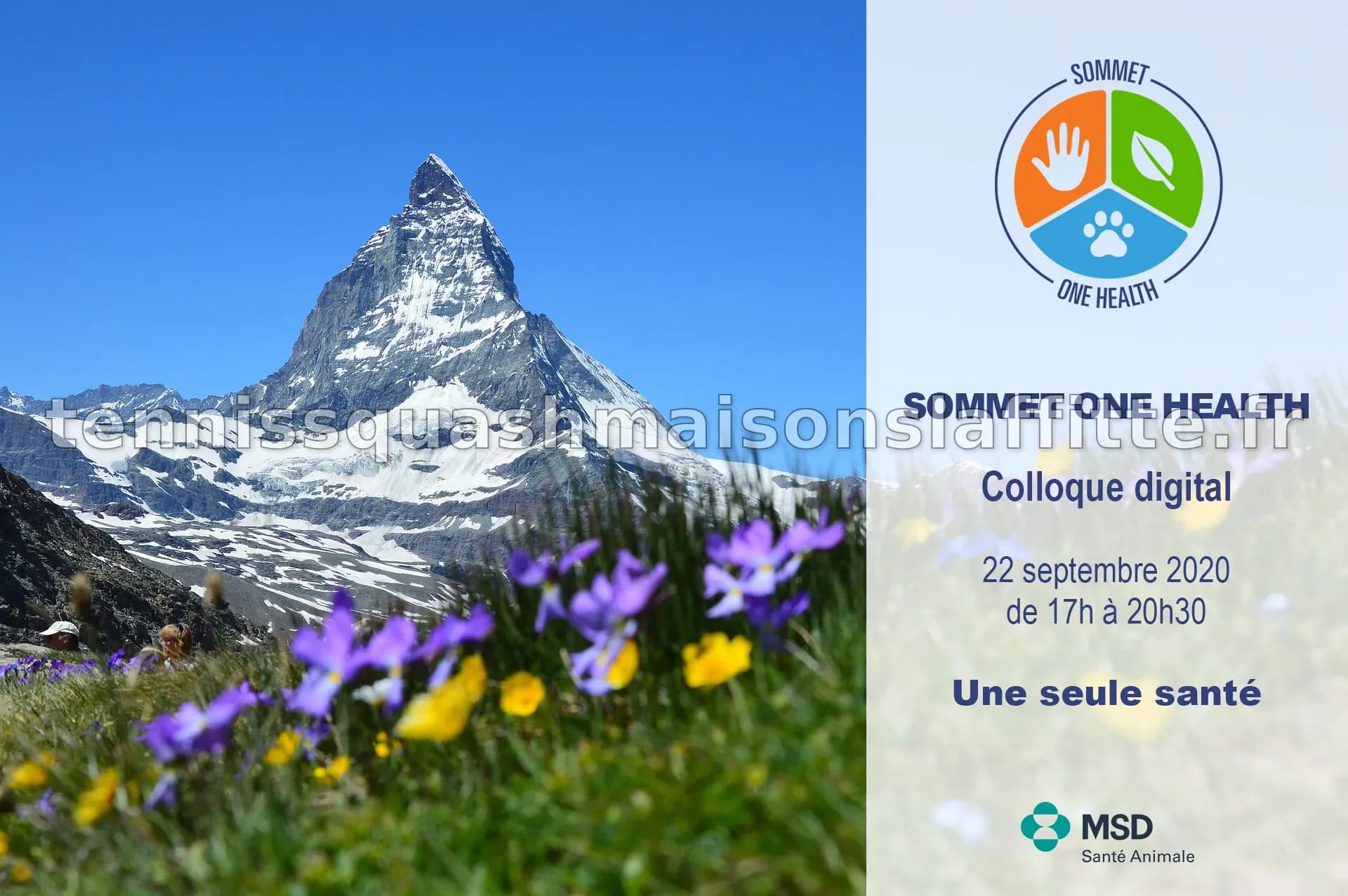 Lyon accueille le sommet international One Health : un enjeu majeur pour la santé mondiale