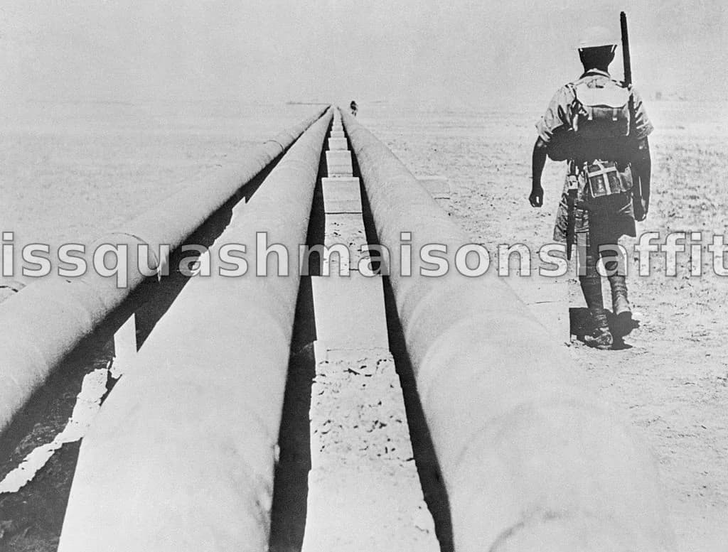 Agnotologie : Comment l'ignorance est-elle orchestrée ?