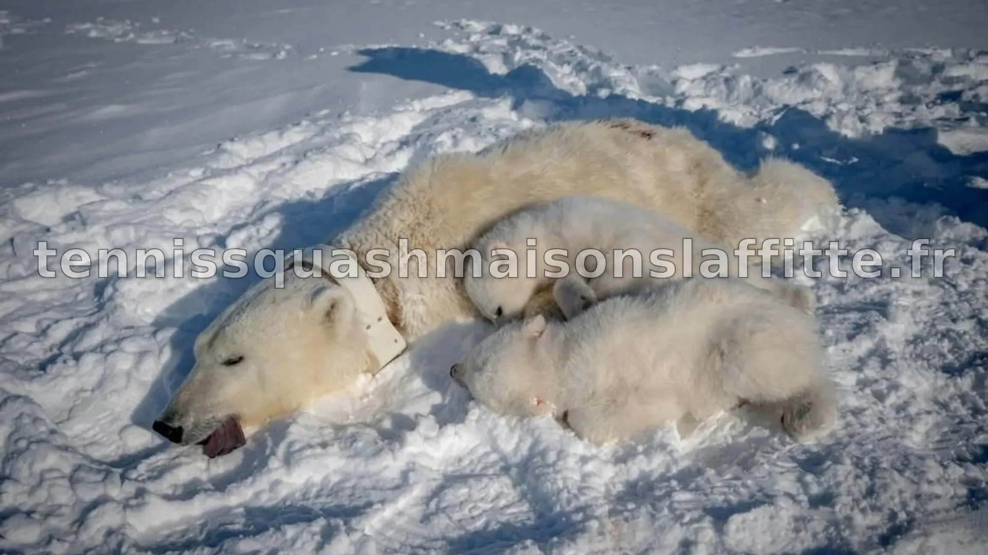Une faille alarmante : Qui peut vraiment voir votre bébé ?