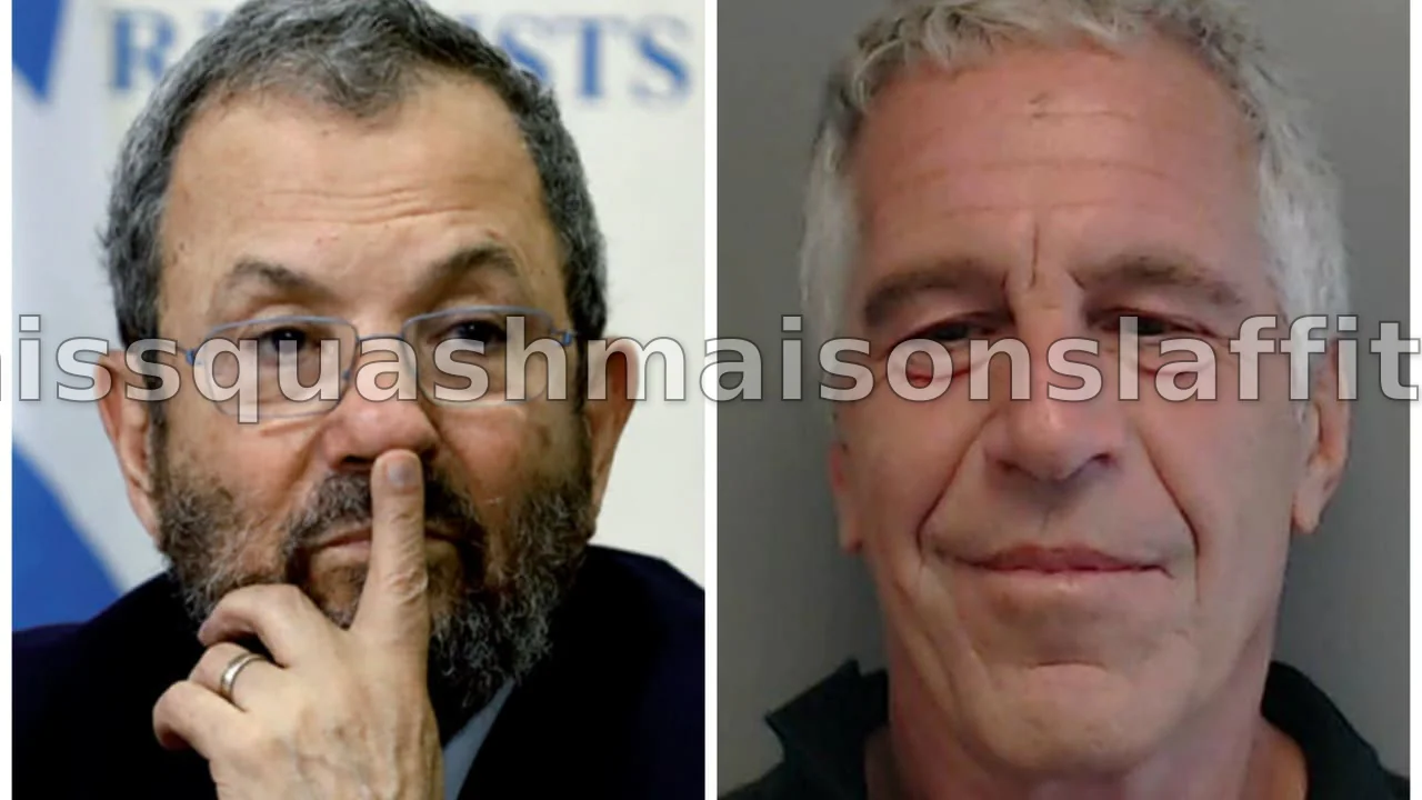 Jeffrey Epstein et Ehoud Barak : Une alliance entre affaires et diplomatie secrète