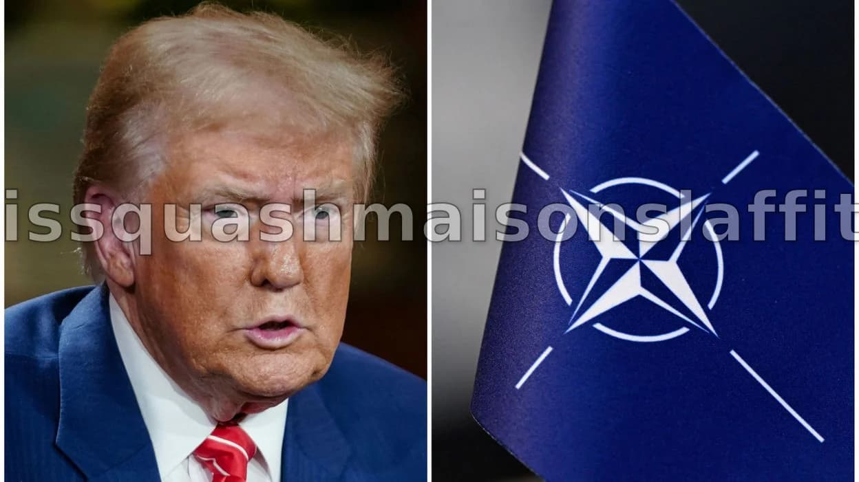 Trump met la pression sur ses alliés pour sécuriser le détroit d'Ormuz : un avenir incertain pour l'Otan