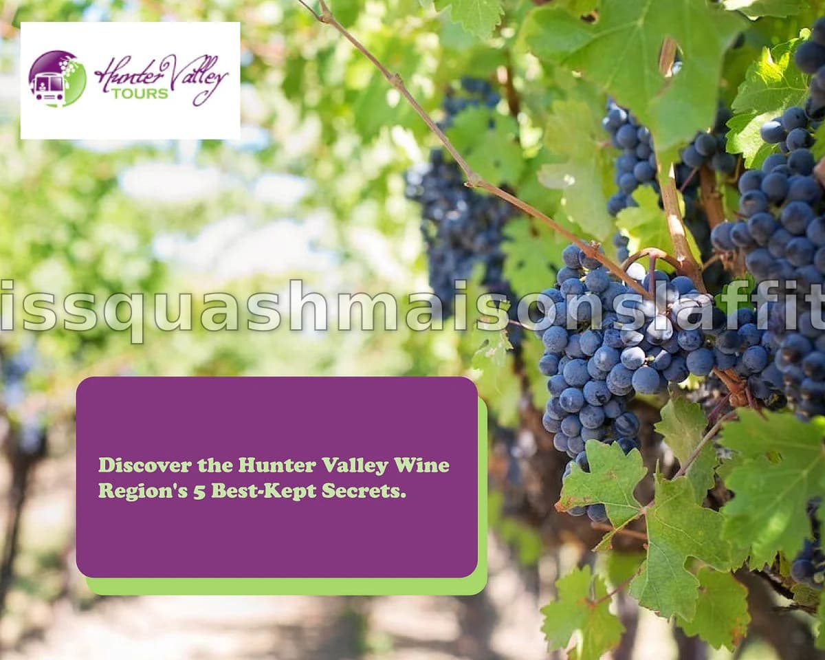 Découvrez le Secret le Mieux Gardé du Canada : Une Vallée Viticole Riche en Activités et en Charme du Nord-Ouest Pacifique