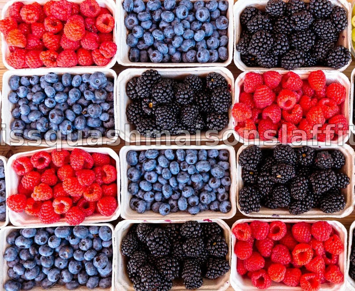 Une alimentation unique pourrait ralentir le vieillissement cérébral de plus de deux ans