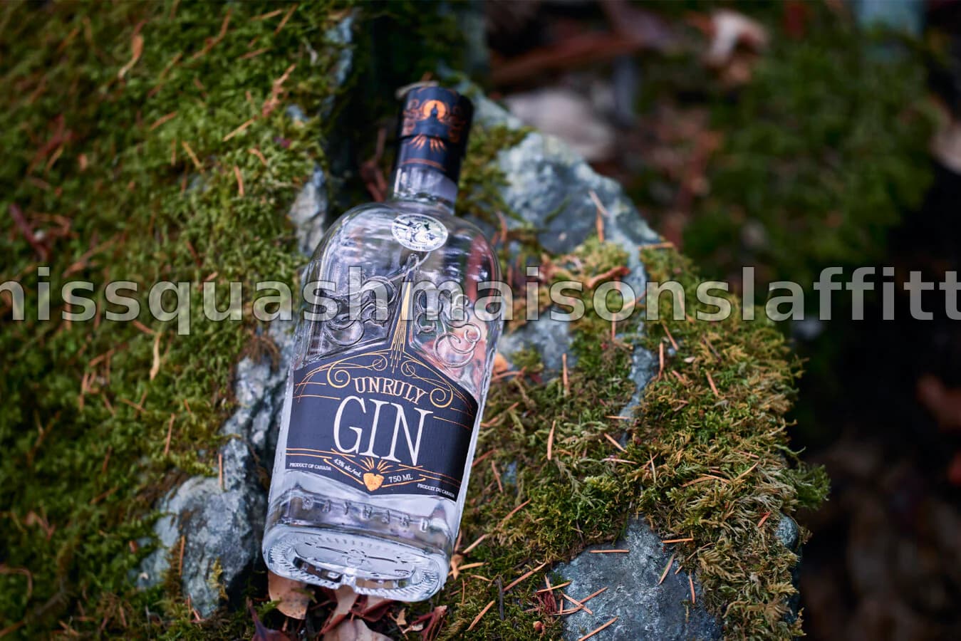 Les 7 Meilleurs Gins Canadiens pour Élargir Vos Horizons Bar