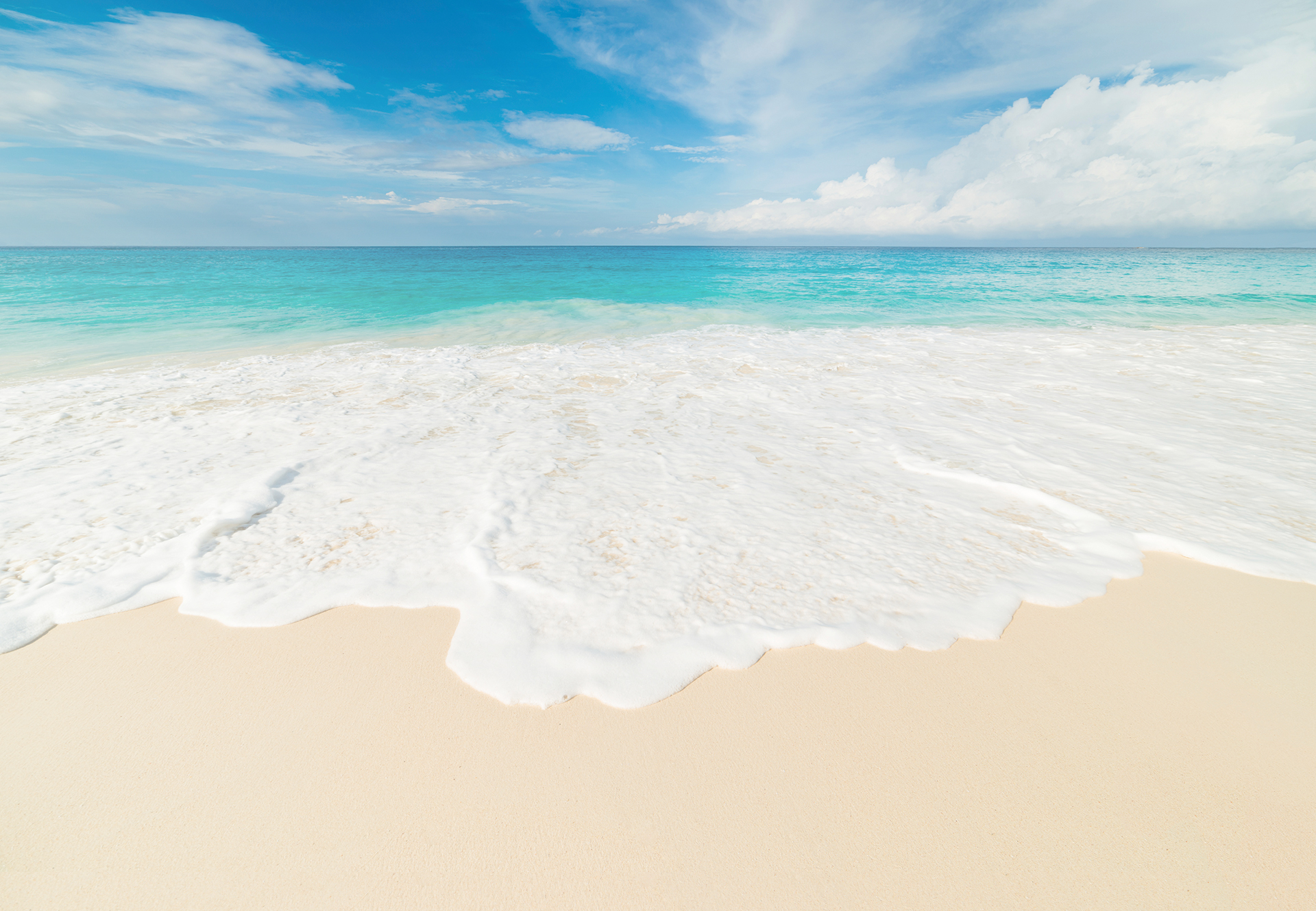 Social Media Marketing for Franchises is Meant for Women